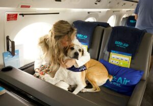 Bark Air: Köpeklere Özel Havayolu