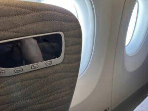 THY Business Class - Airbus A350